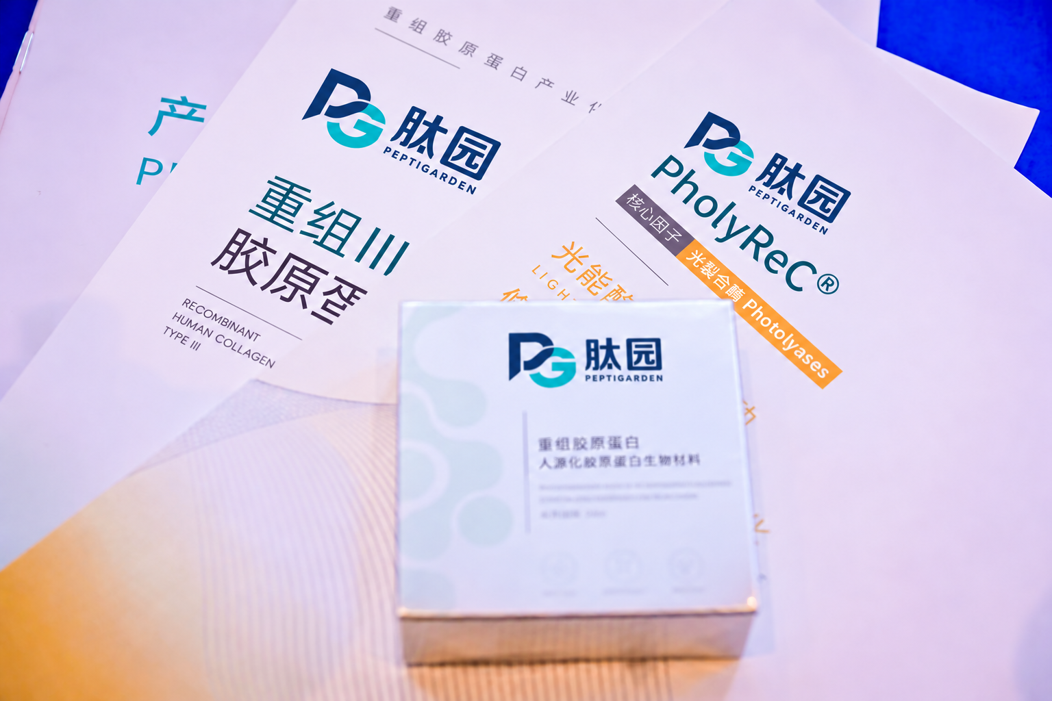 mmexport1717726947701(1)