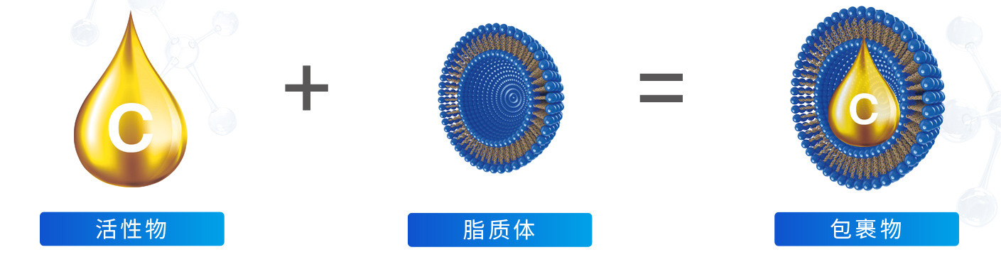 05关于肽园-科研生产实力_31